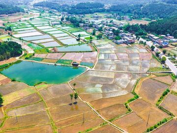关秧门！今年四川水利工程保栽面积增加45万亩