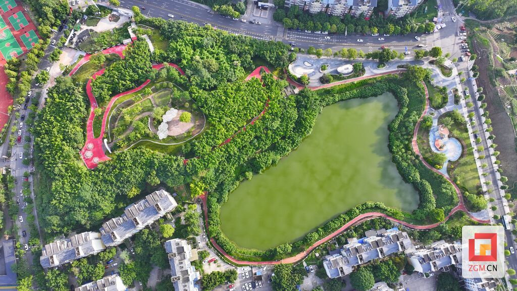 微信图片_20260604184850_571_29.jpg