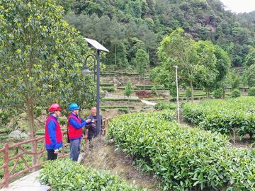 荣县：电力护航  赋能春耕生产提质增效