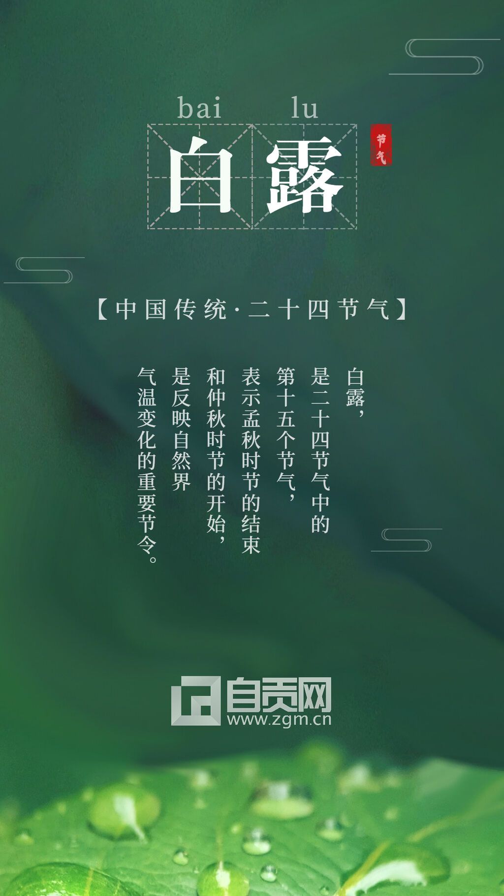 白露節(jié)氣手機全屏轉(zhuǎn)發(fā)宣傳海報.jpg