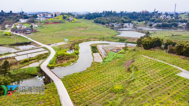 永安镇花椒标准化生产园区1.jpg