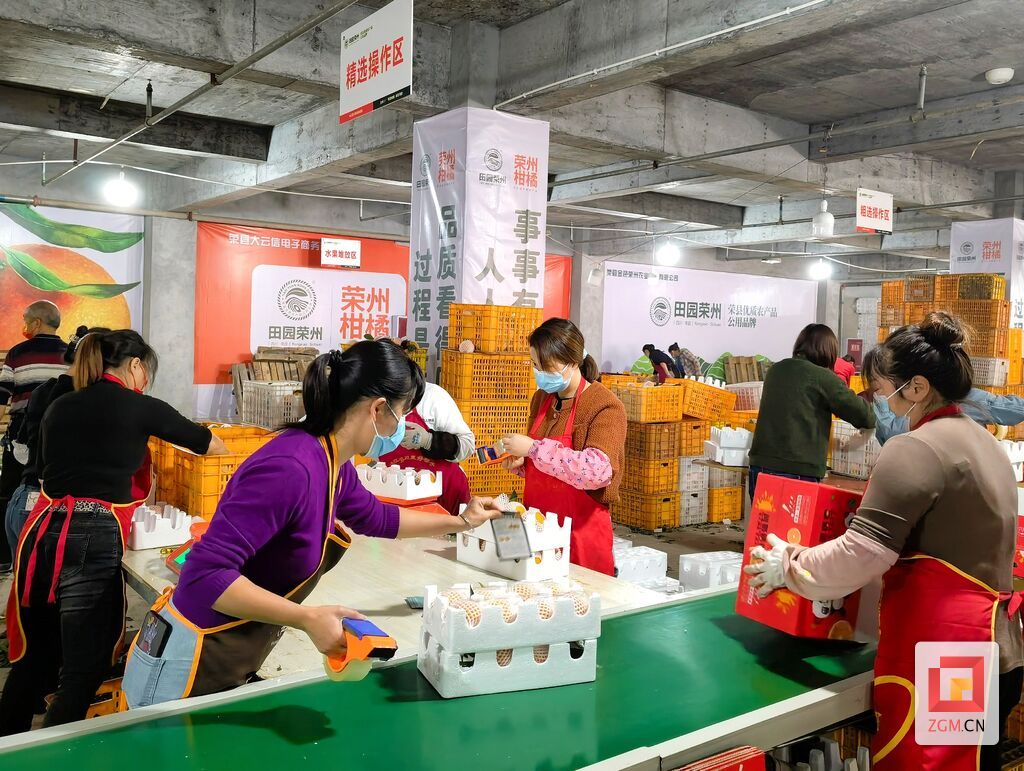精选后打包装箱.jpg