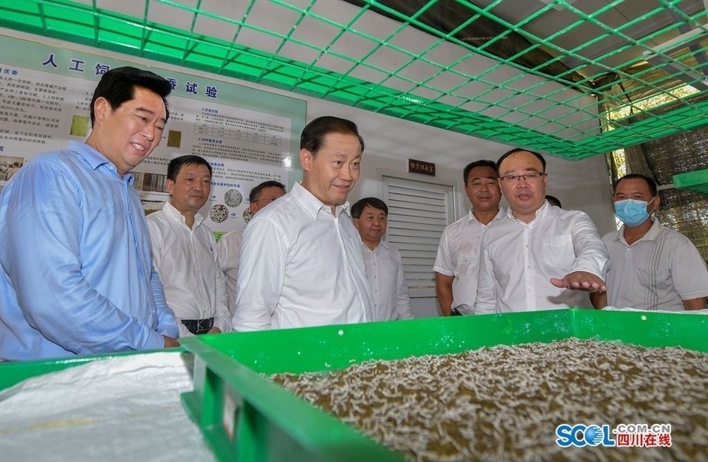 7月13日，省委书记彭清华到宜宾市高县嘉乐镇人民村调研，了解创新利益联结机制做大做强蚕桑产业，壮大集体经济及带动农民增收情况。
