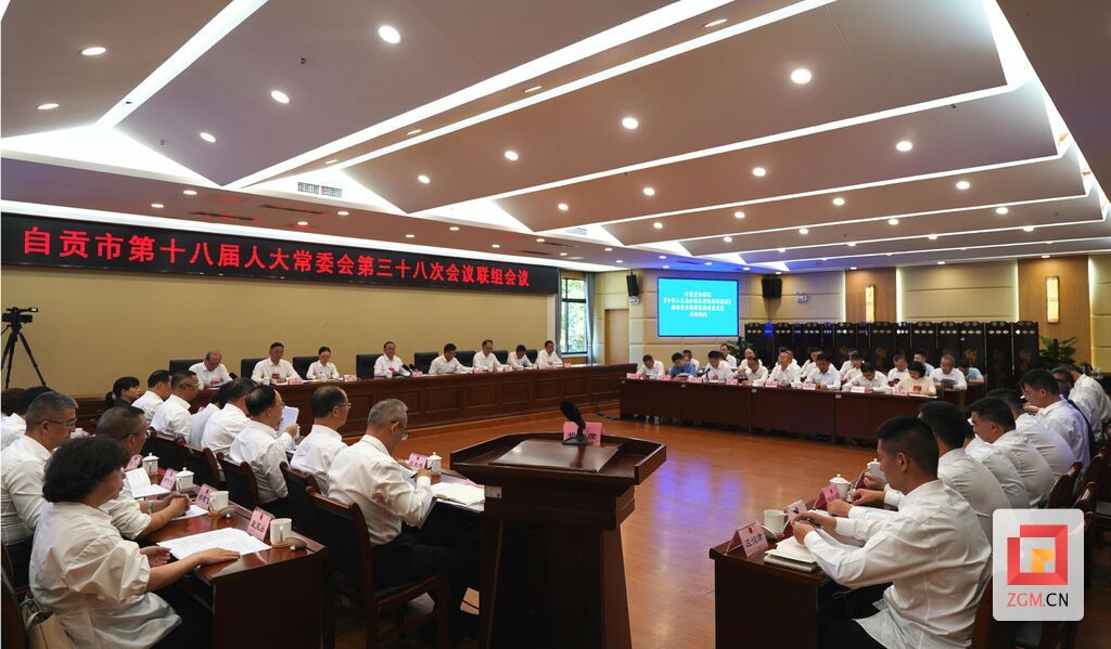 针对自贡高新区民营经济高质量发展开展专题询问.jpg