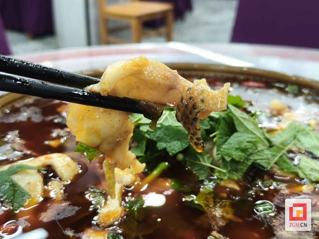 微信图片_20250929140044.jpg