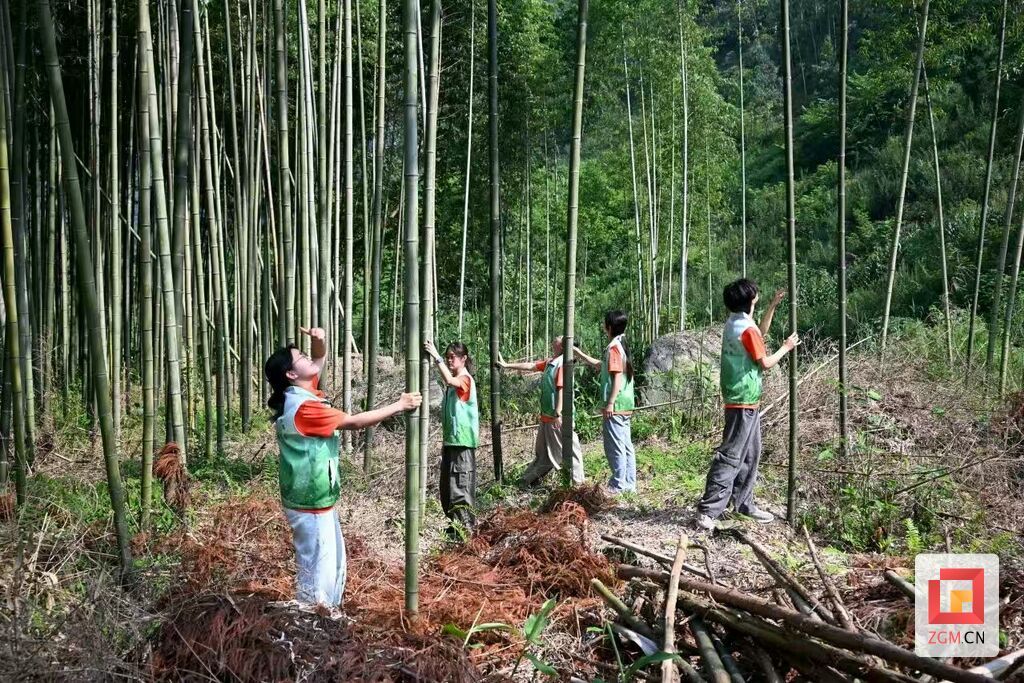 竹林探訪.jpg