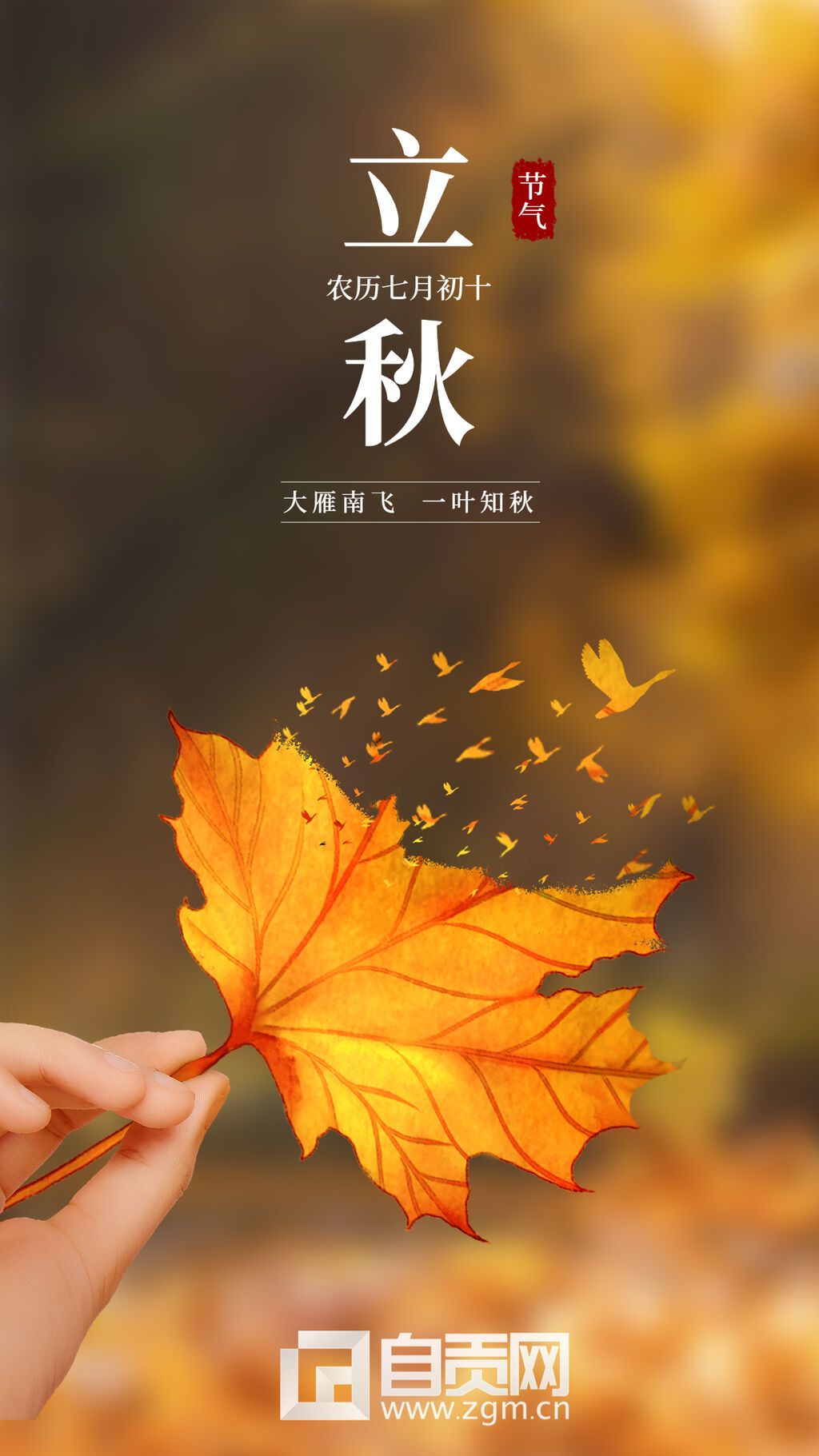 立秋1.jpg