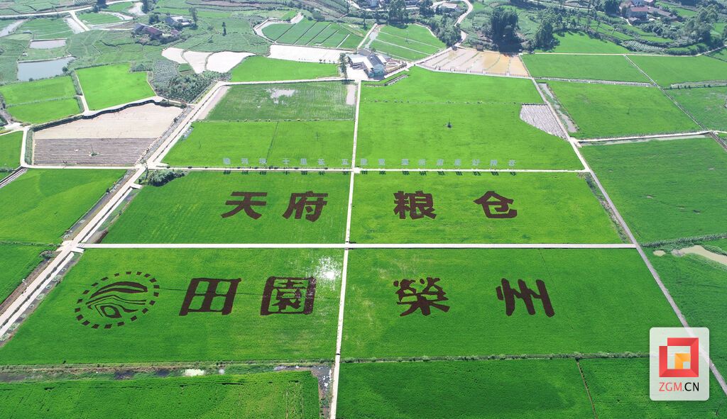 下載圖片 (4).jpg