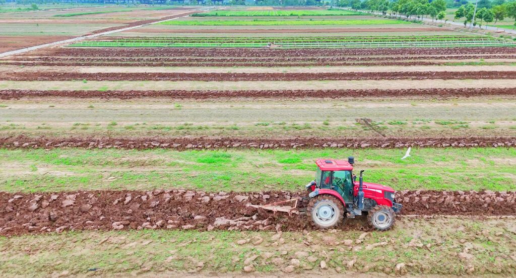 嘉鱼县四邑村,机器正在翻耕甘蓝地.jpg
