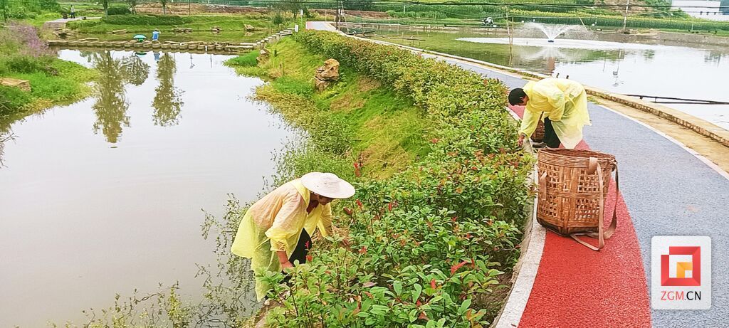 铁钱溪治理43.jpg