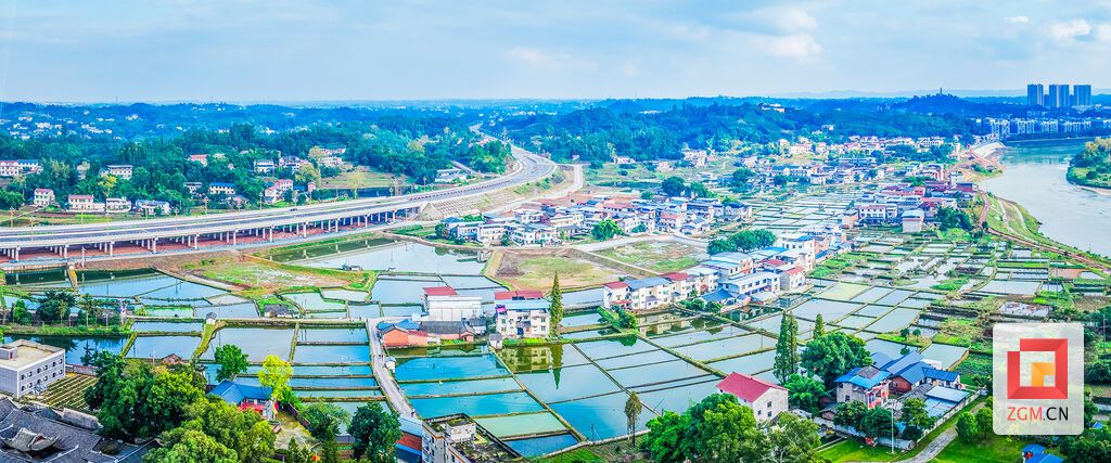 斑斓田畴与密集鱼塘如天然调色盘，传统的村舍民居点缀其间，与田园相依，展现出一幅生机勃勃的乡村画卷 记者 宋姿熠 摄。.jpg