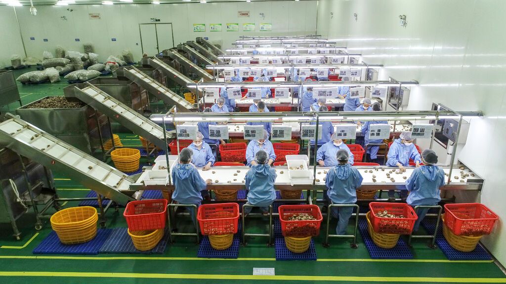 香菇深加工车间 拍摄:李文军.JPG