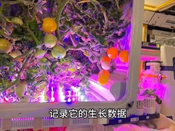 “中国空间站里种出了番茄，望周知”