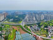 古县新姿绽芳华