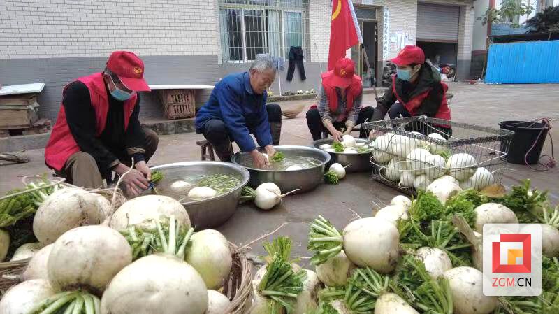 下載圖片 (1).jpg