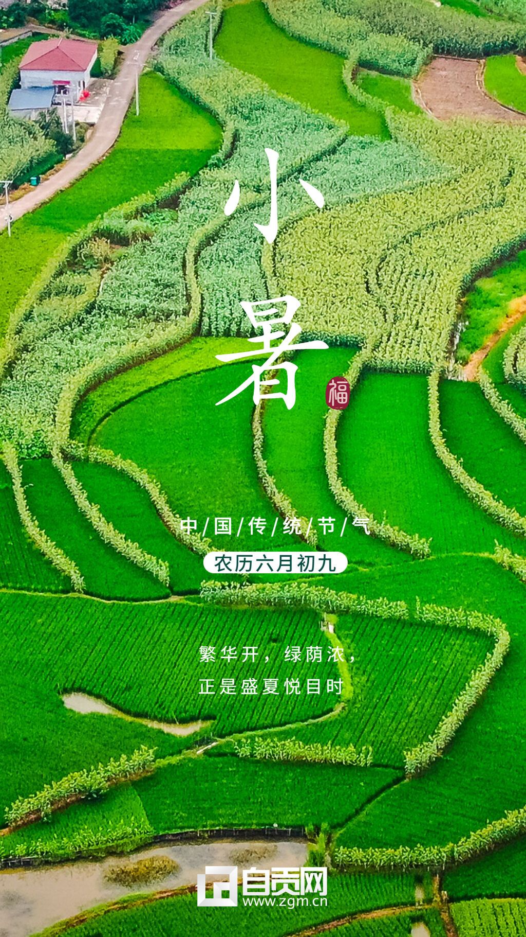 小暑海報(bào)4.jpg