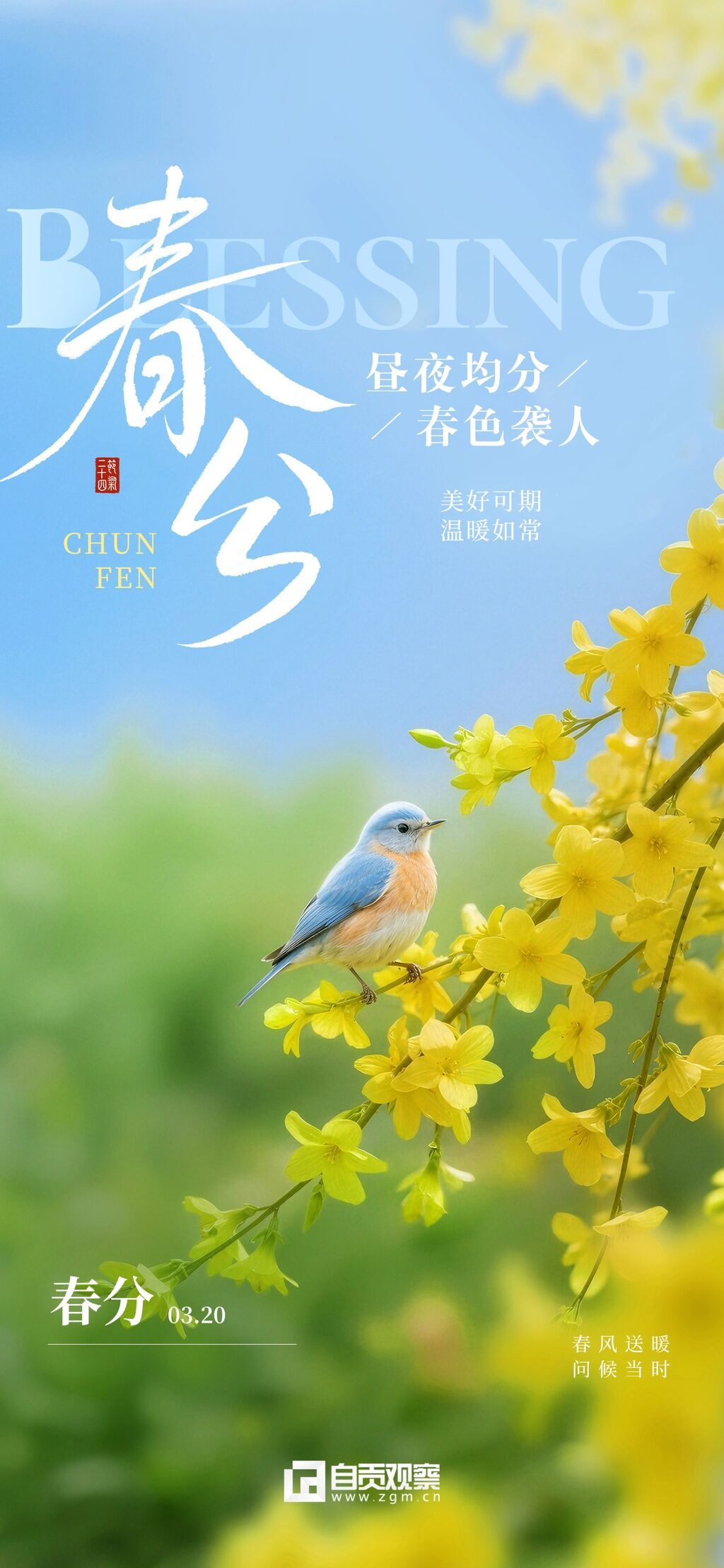 春分节日祝福通用清新感全屏竖版海报.jpg