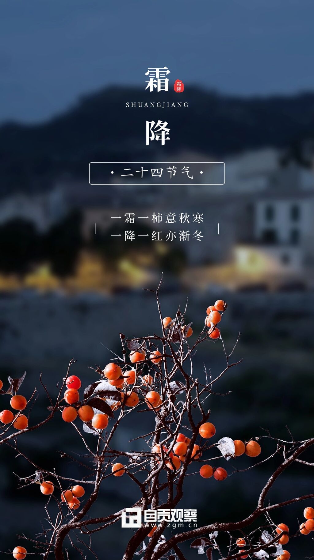 霜降節(jié)氣祝福手機(jī)海報(bào).jpg