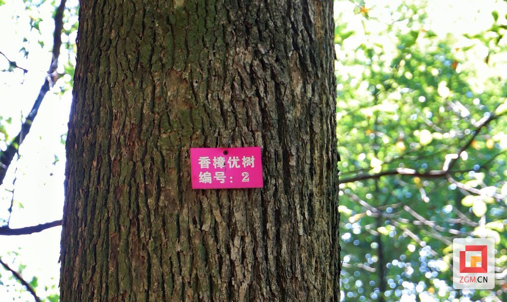 微信图片_20260706181314_5671_74.jpg