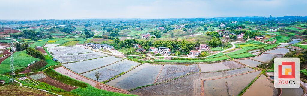 平坦村稻虾田规整如画，勾勒出生态种养新图景 记者 宋姿熠 摄.jpg