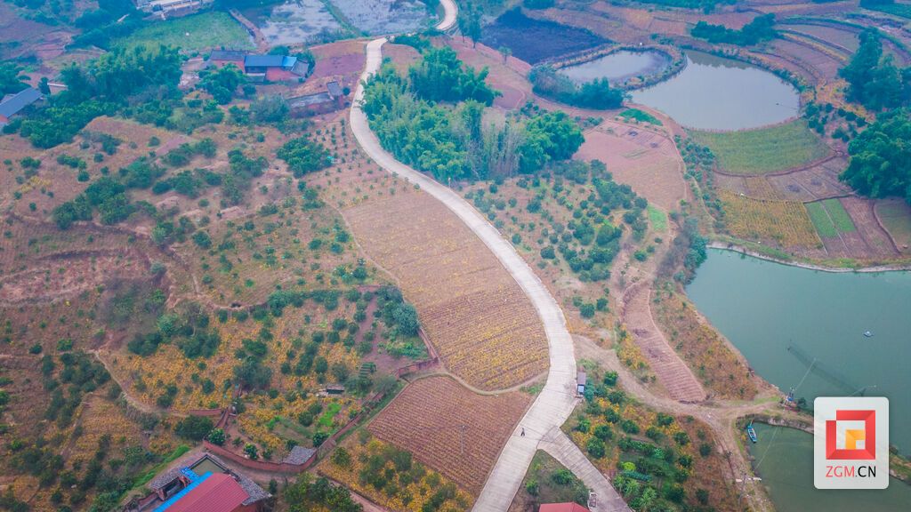 DJI_0911.jpg