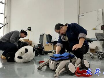 熊猫机器人、随行机器狗……这家企业把机器人“用明白了”