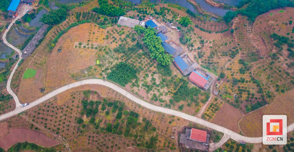 DJI_0920.jpg