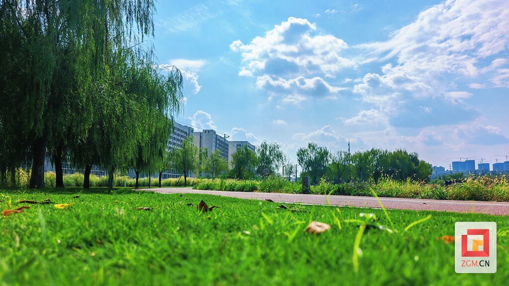 MEITU_20261013_182717717.jpg