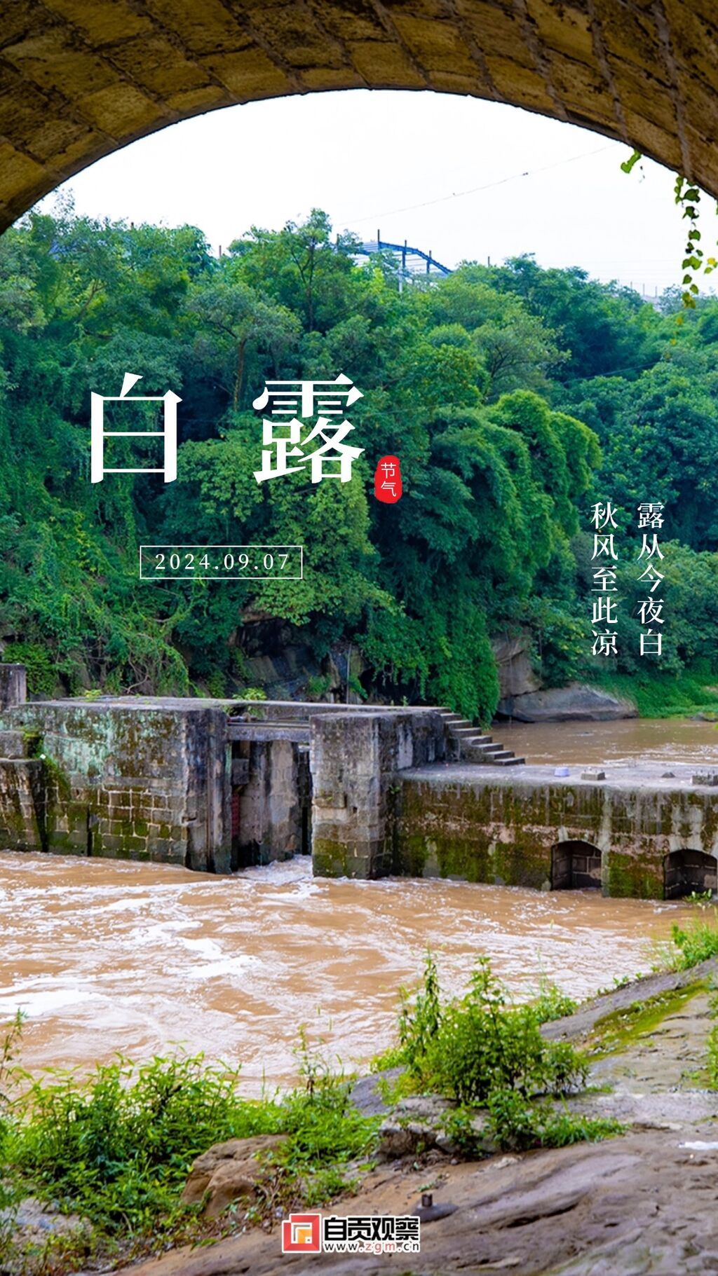 白露節(jié)氣早安祝福秋天秋季手機海報 (1).jpg