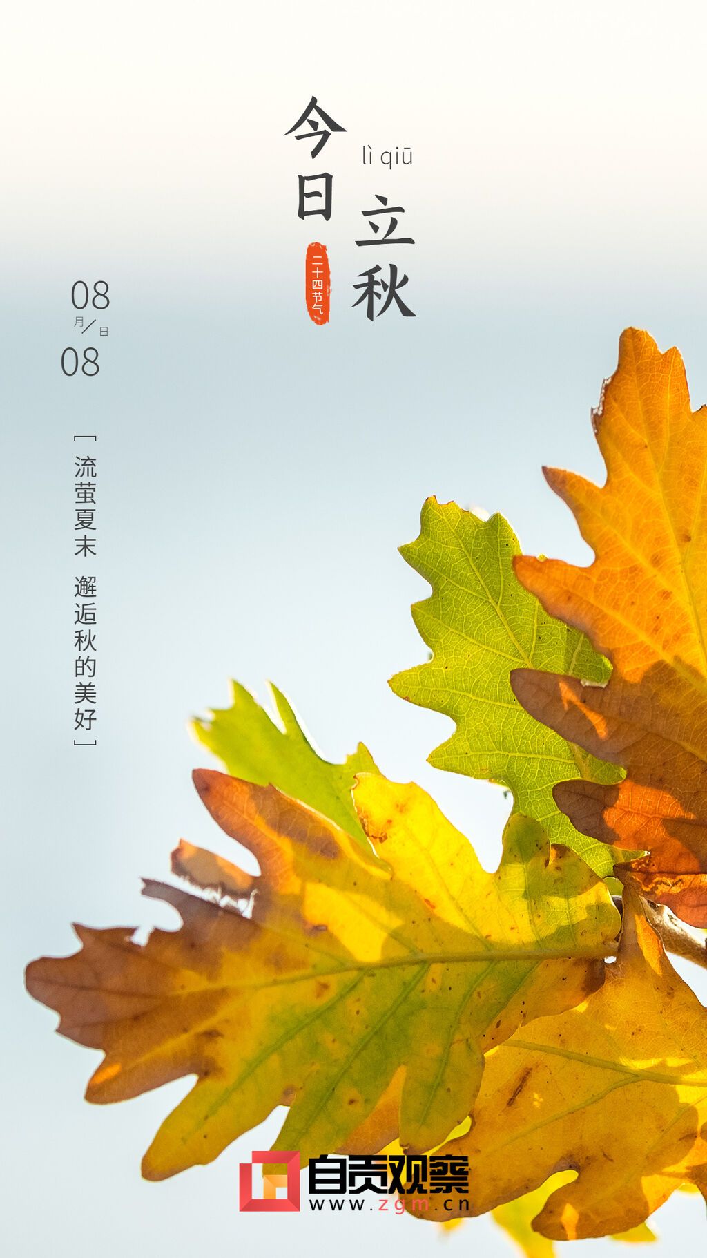 立秋節(jié)氣祝福排版手機(jī)海報(bào)(1).jpg