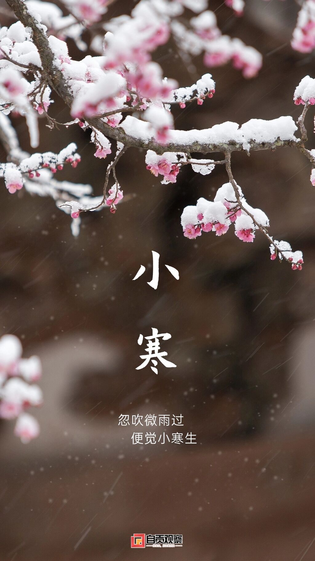 稿定設(shè)計(jì)-1.jpg