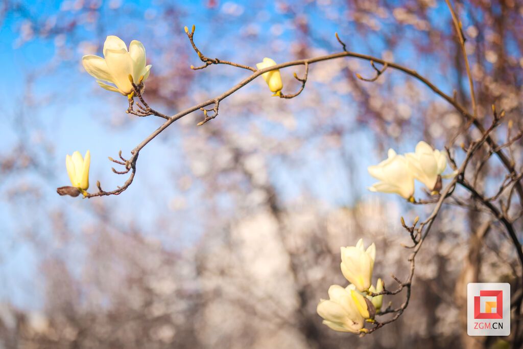 A21A7168-2.jpg