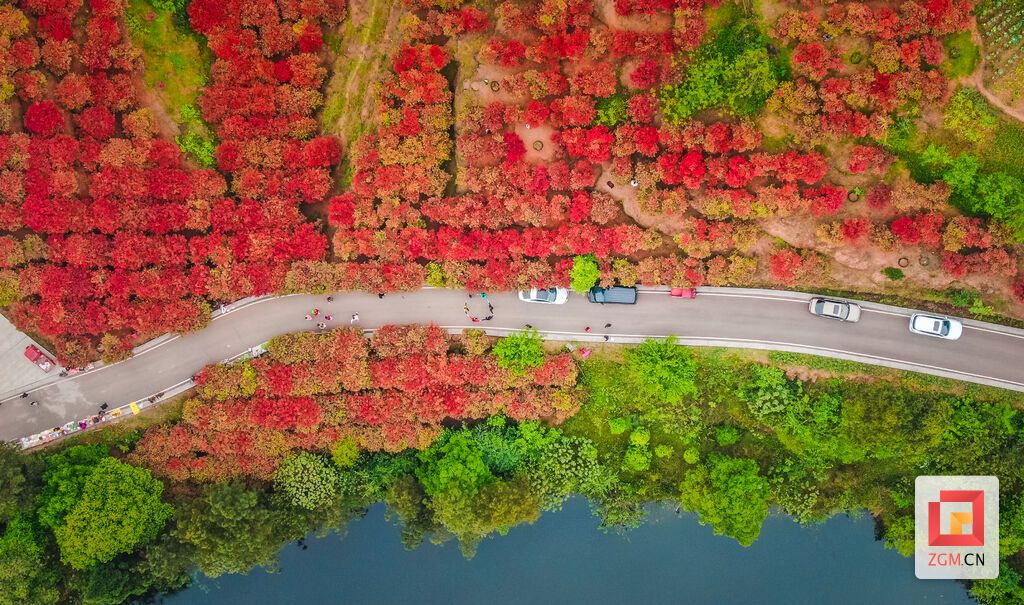 DJI_0414.jpg