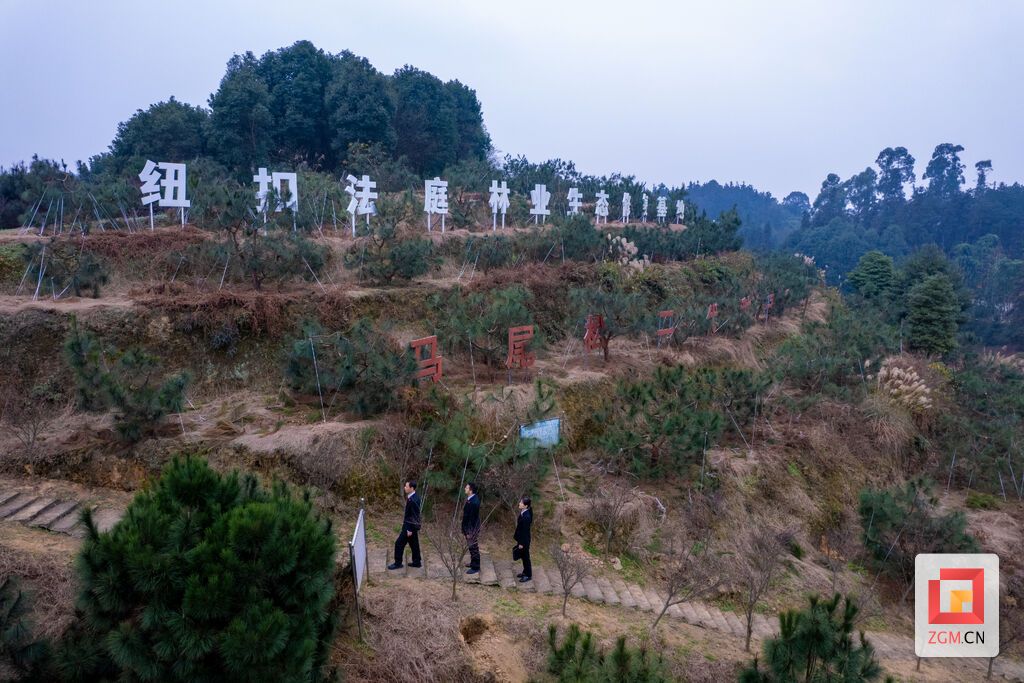 法庭追光3.jpg