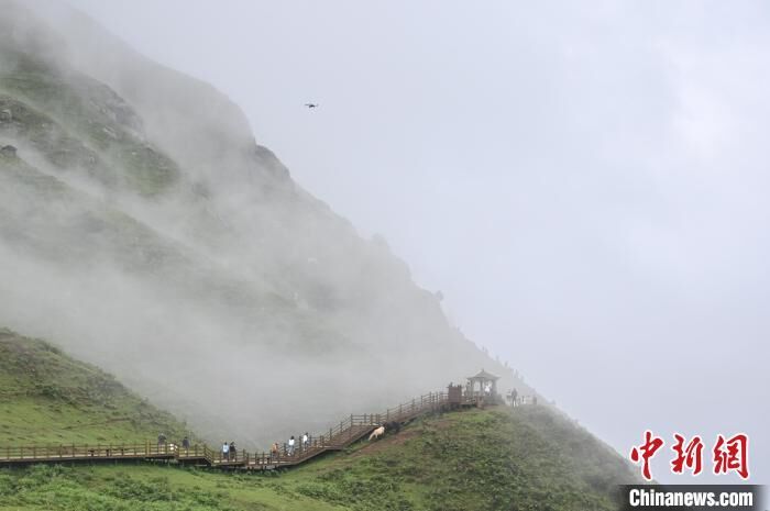贵州六盘水乌蒙大草原吸引游客避暑游玩