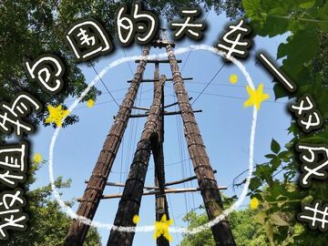 最后的天车 ⑭｜当老井架“住”进植物园……