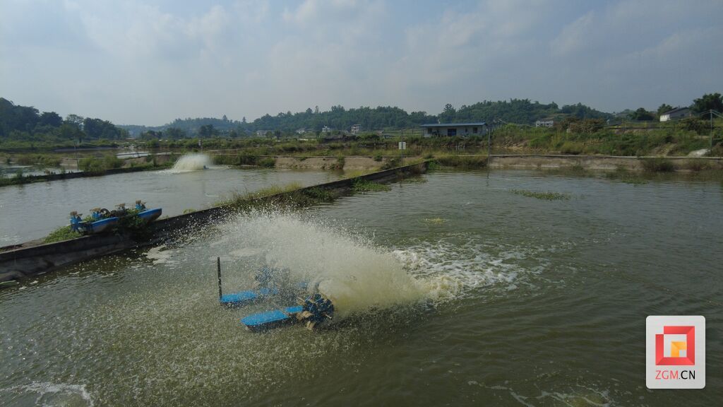 DJI_0986.jpg