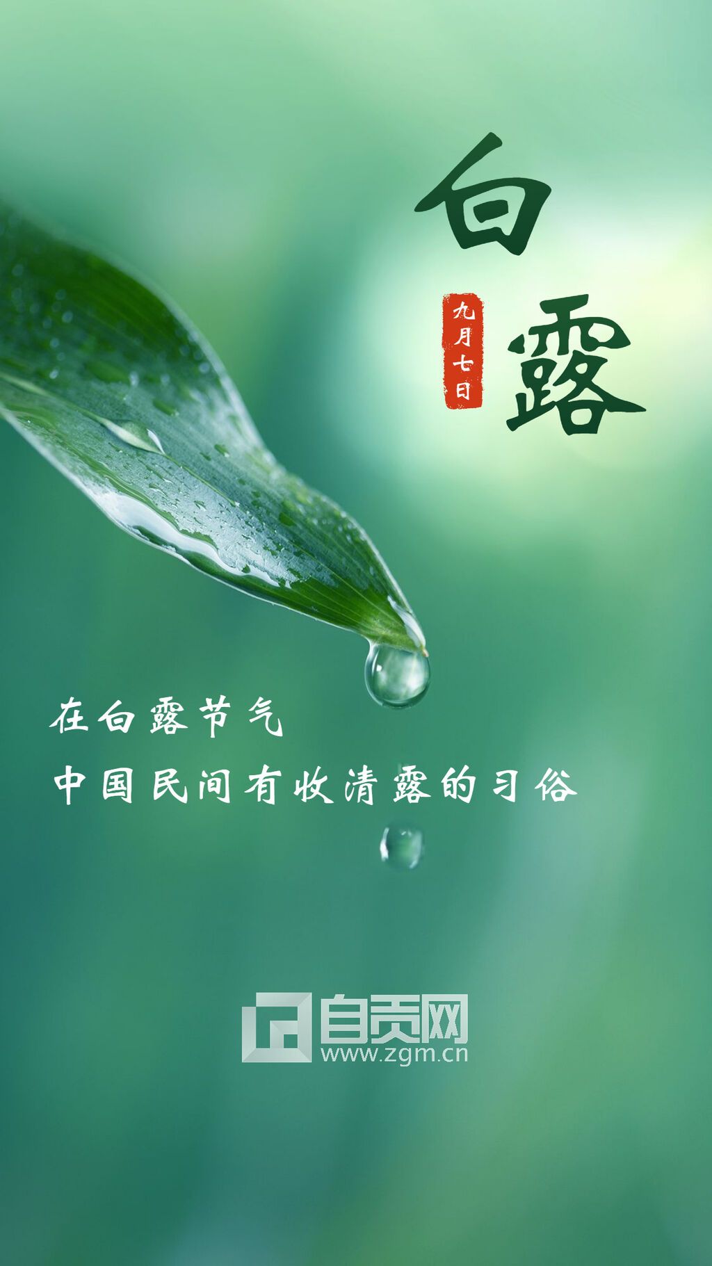 白露節(jié)氣早安祝福文藝秋天手機海報.jpg