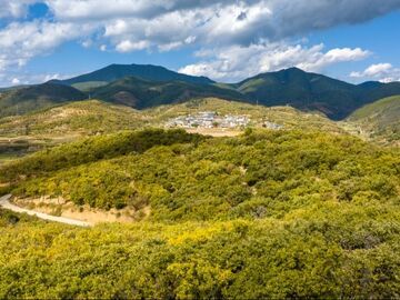 我的乡村超安逸丨攀枝花白拉古村：一颗板栗的产业进阶之路