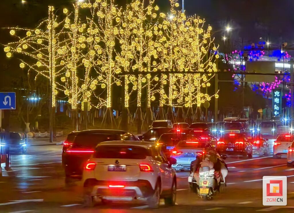 南湖路道路两旁车水马龙 记者罗祥瑞摄.jpg