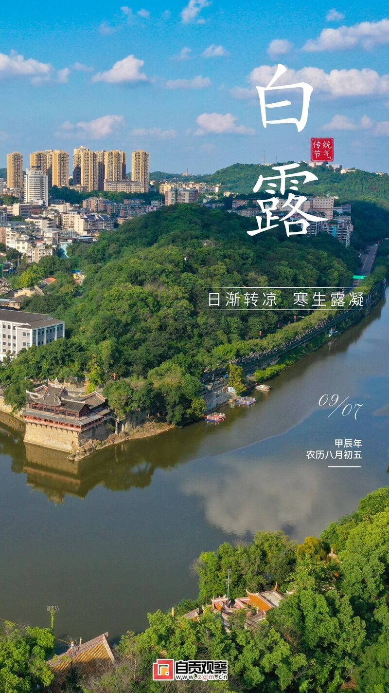 白露节气祝福实景排版手机海报 (1).jpg