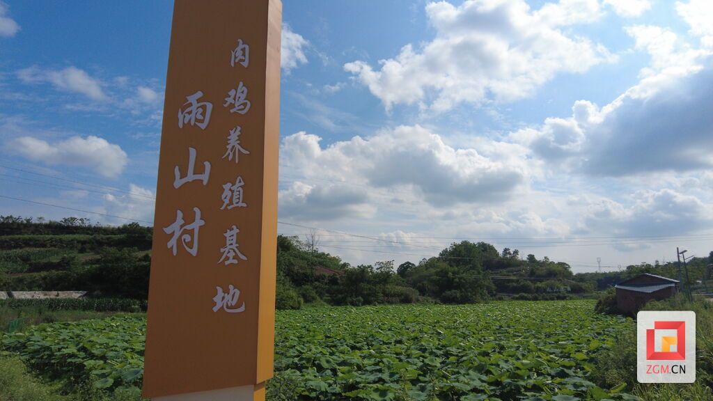 微信图片_20250611173632.jpg