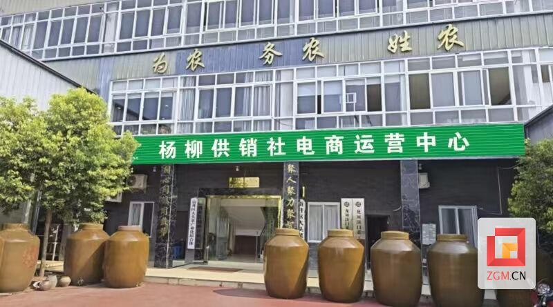 杨柳供销社建成电商运营中心.jpg