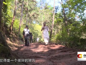 直播盐都｜富顺县“五条沟奇遇·森系漫游记”构建乡村文旅新模式