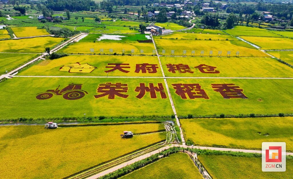 微信圖片_2025-08-19_191358_210.jpg