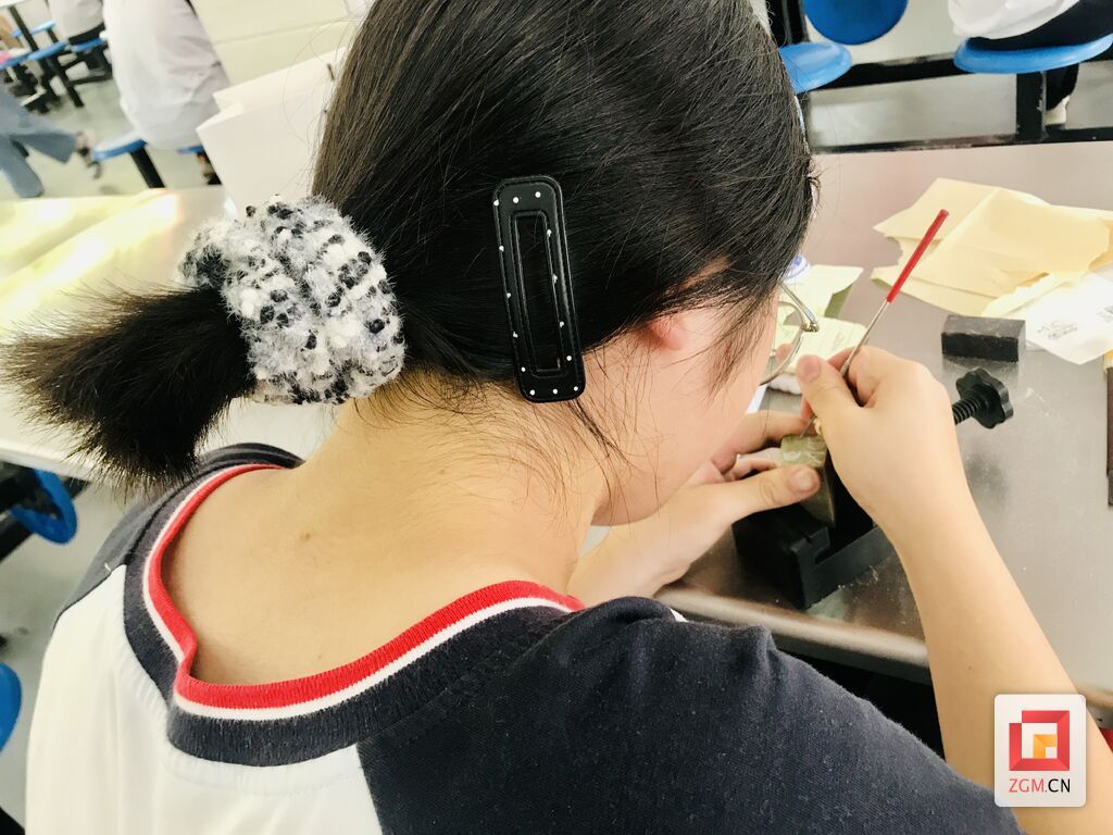微信圖片_20250513184134.jpg
