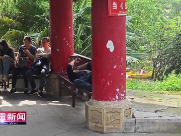 自贡新闻｜清明出游 别让不文明行为“上榜”