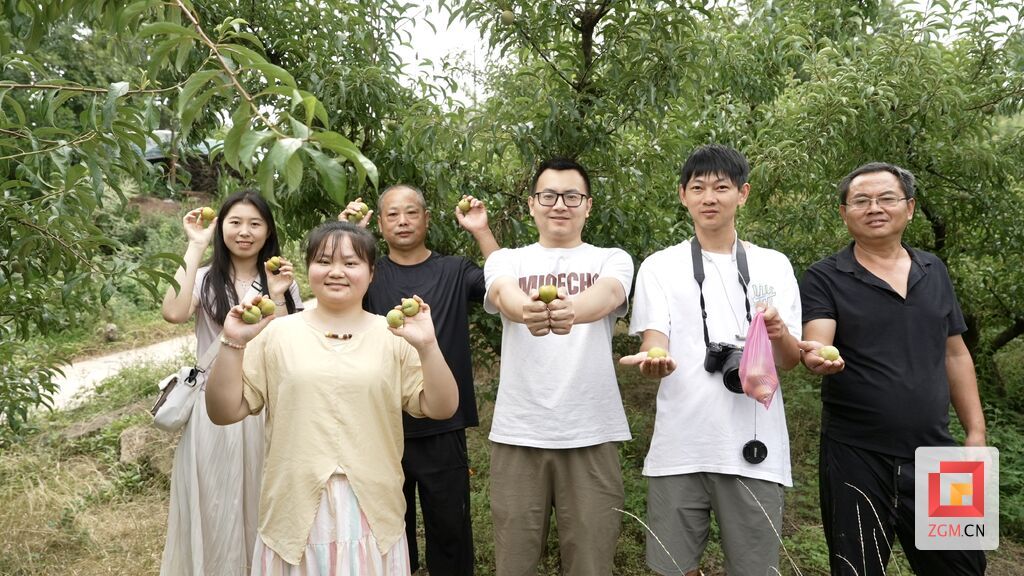 微信图片_20250625093950.jpg