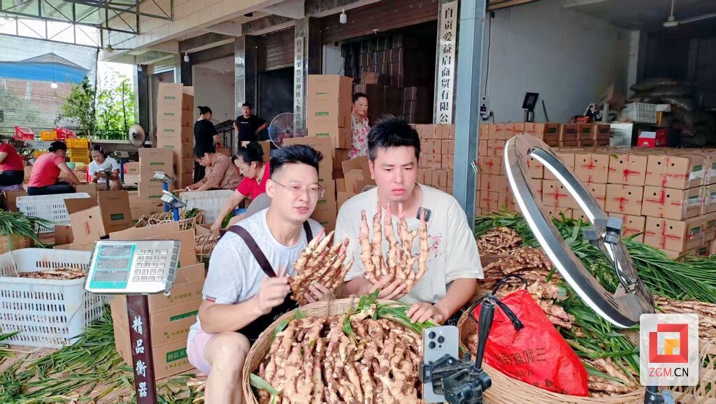 新农人杨队长.jpg