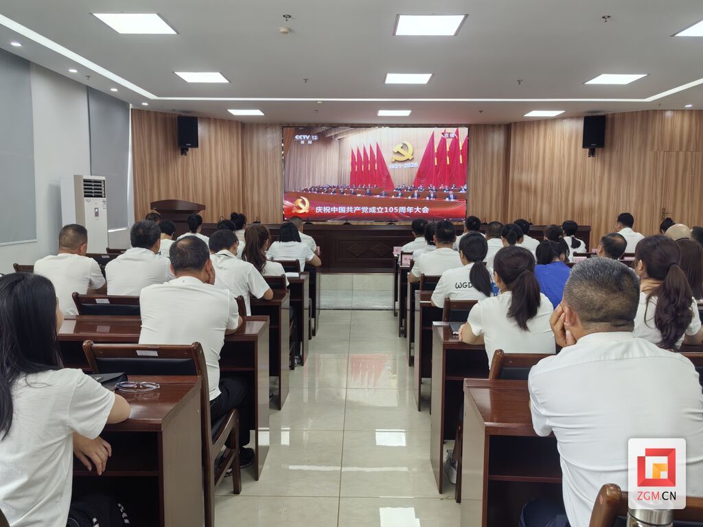 高峰街道集中观看庆祝中国共党党成立105周年大会3.jpg